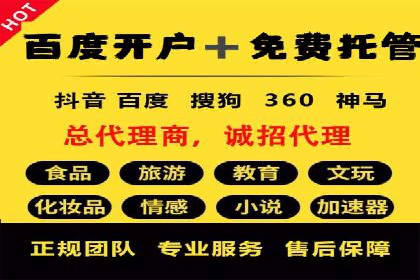 SEM竞价代运营案例：提升广告效果的关键策略